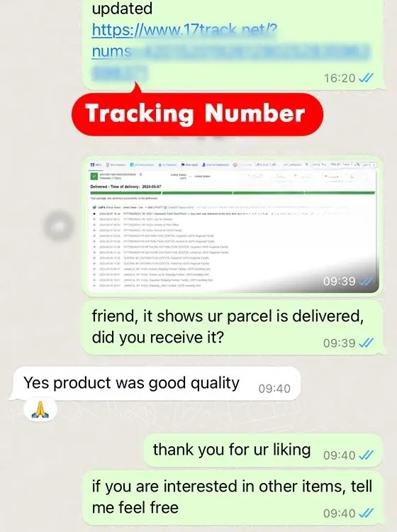 review0802-5.webp